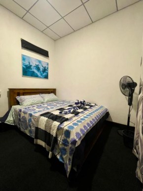 Villa Turtle